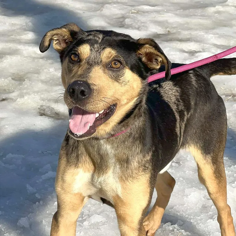 Marcello thumbnail 5