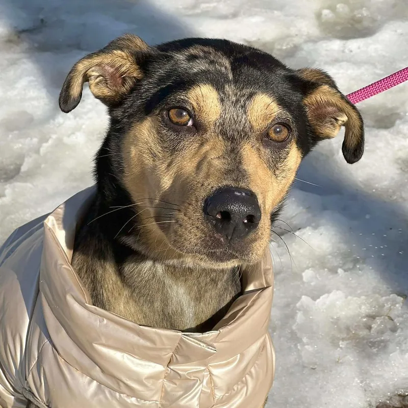 Marcello thumbnail 6