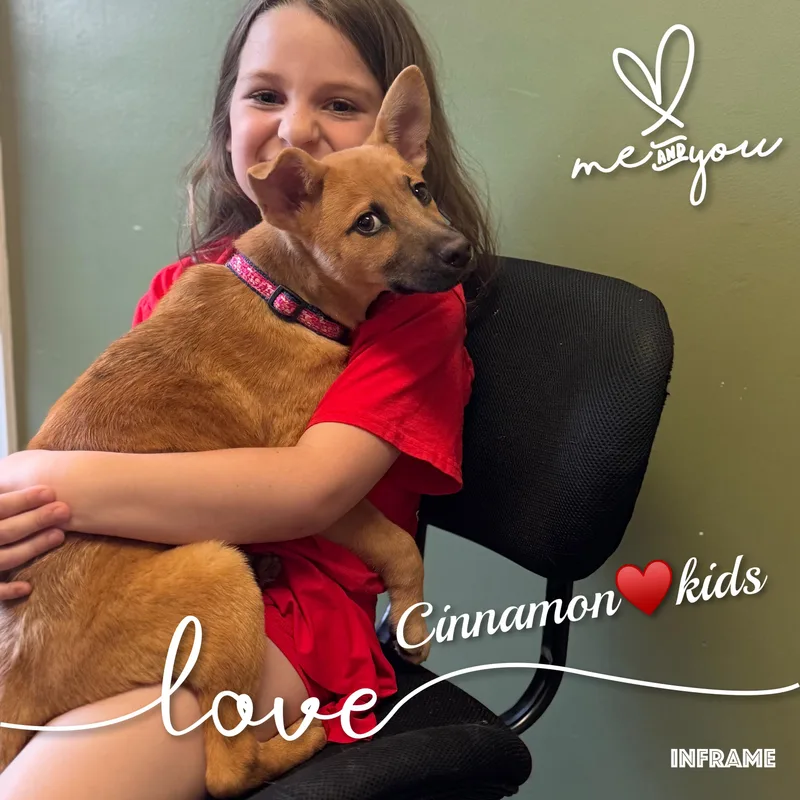 Cinnamon thumbnail 5