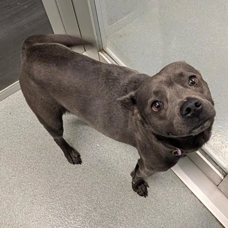 Gigi City Of Industry thumbnail 2