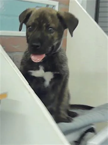Buster