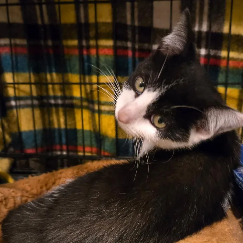 Sebastian