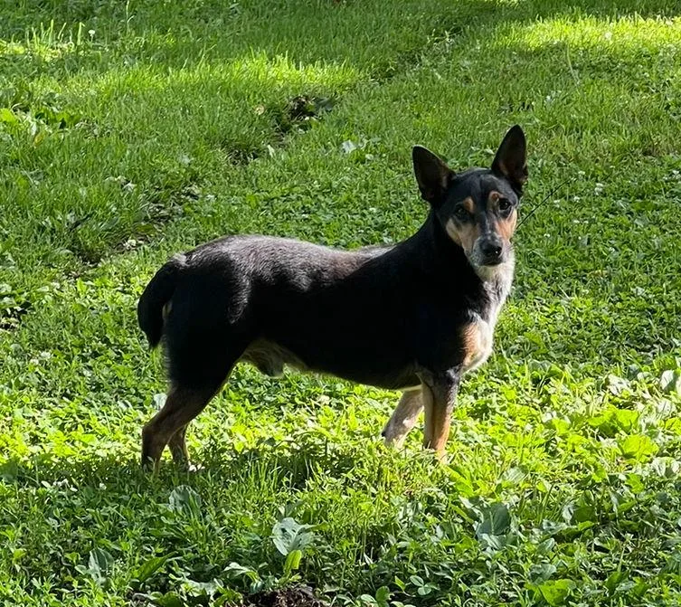 George + thumbnail 2