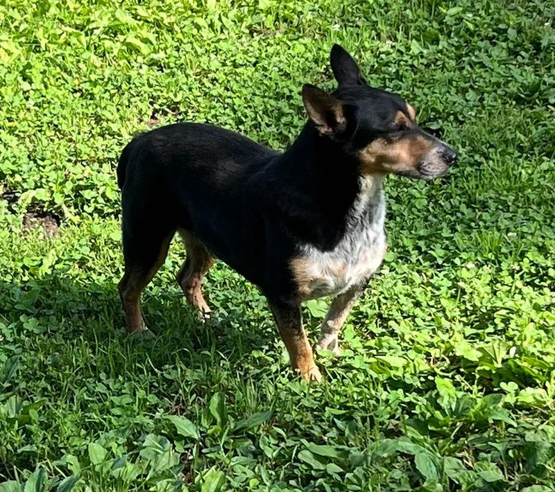 George + thumbnail 3