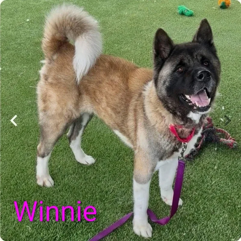 Winnie thumbnail 3