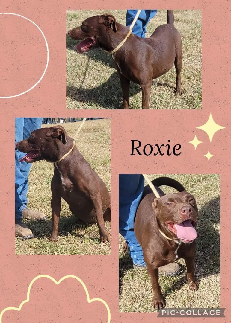 Roxie