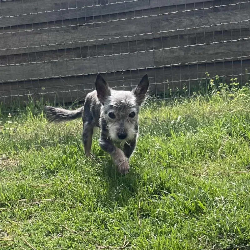 Jim Jeremy thumbnail 2