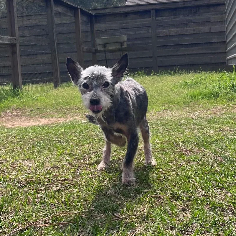 Jim Jeremy thumbnail 3