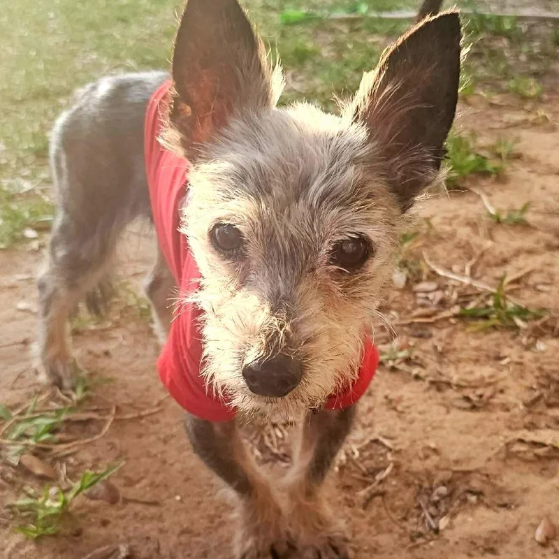 Jim Jeremy thumbnail 4