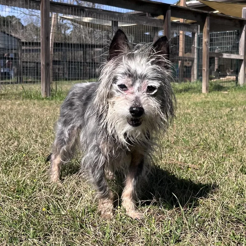 Jim Jeremy thumbnail 5