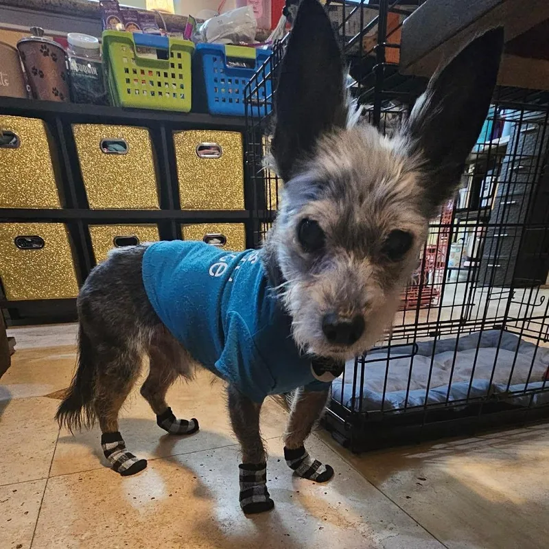 Jim Jeremy thumbnail 6