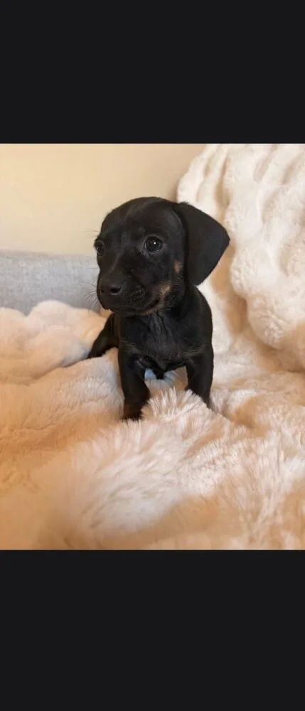 Rocky