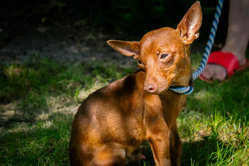 Titan thumbnail 3