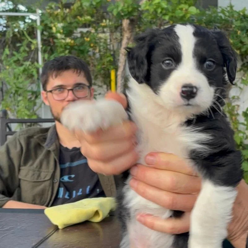 Luke thumbnail 4