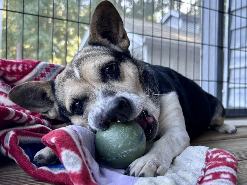 Buffy Plunkette thumbnail 3