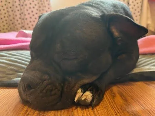 Fiona thumbnail 5
