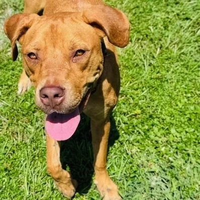 Gracie Lou thumbnail 2