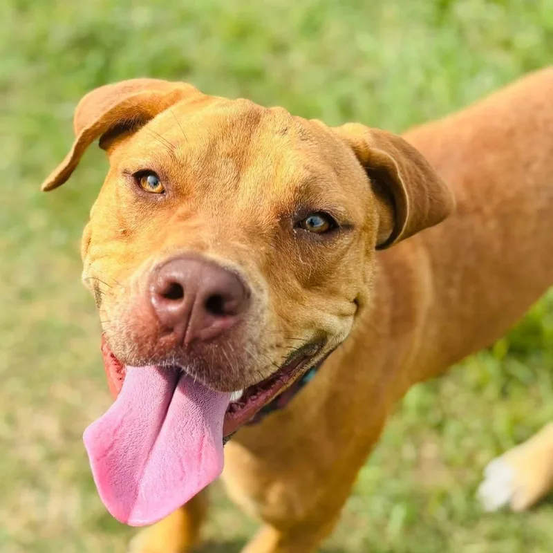 Gracie Lou thumbnail 3