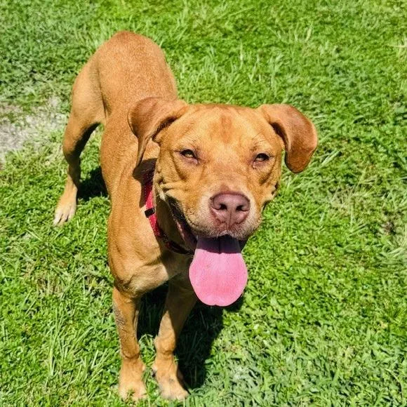 Gracie Lou thumbnail 5