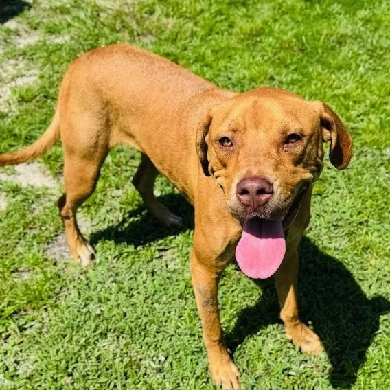 Gracie Lou thumbnail 6