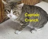 Captain Crunch