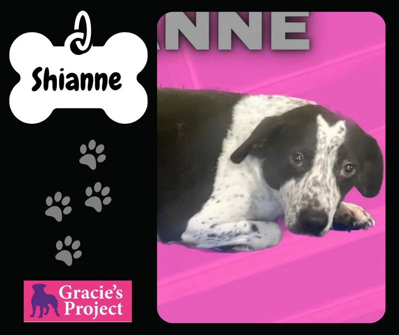 Shiann thumbnail 2