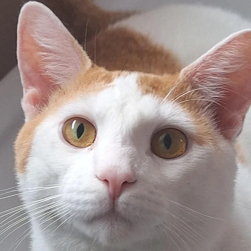 Dave thumbnail 3