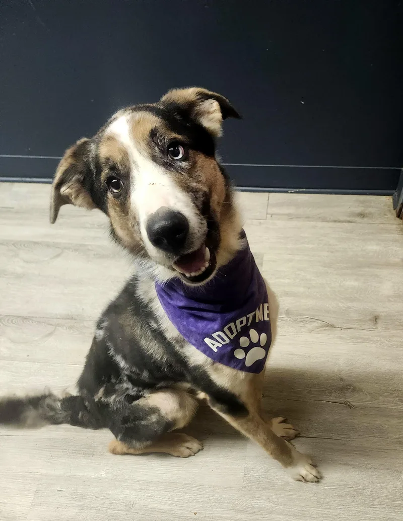 Chief Keef thumbnail 2