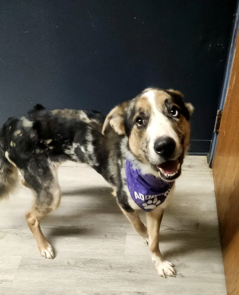 Chief Keef thumbnail 3