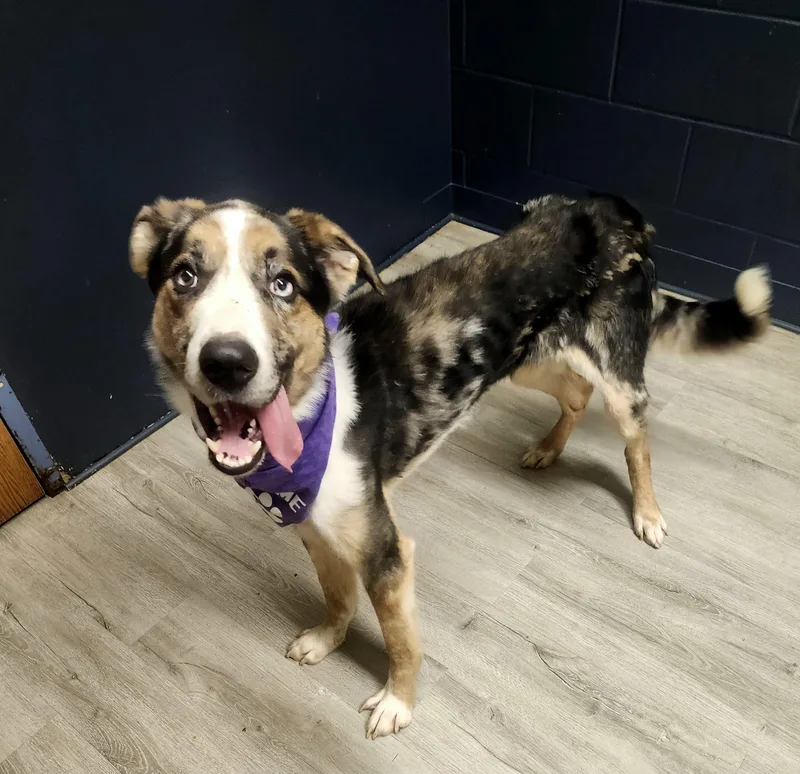 Chief Keef thumbnail 4