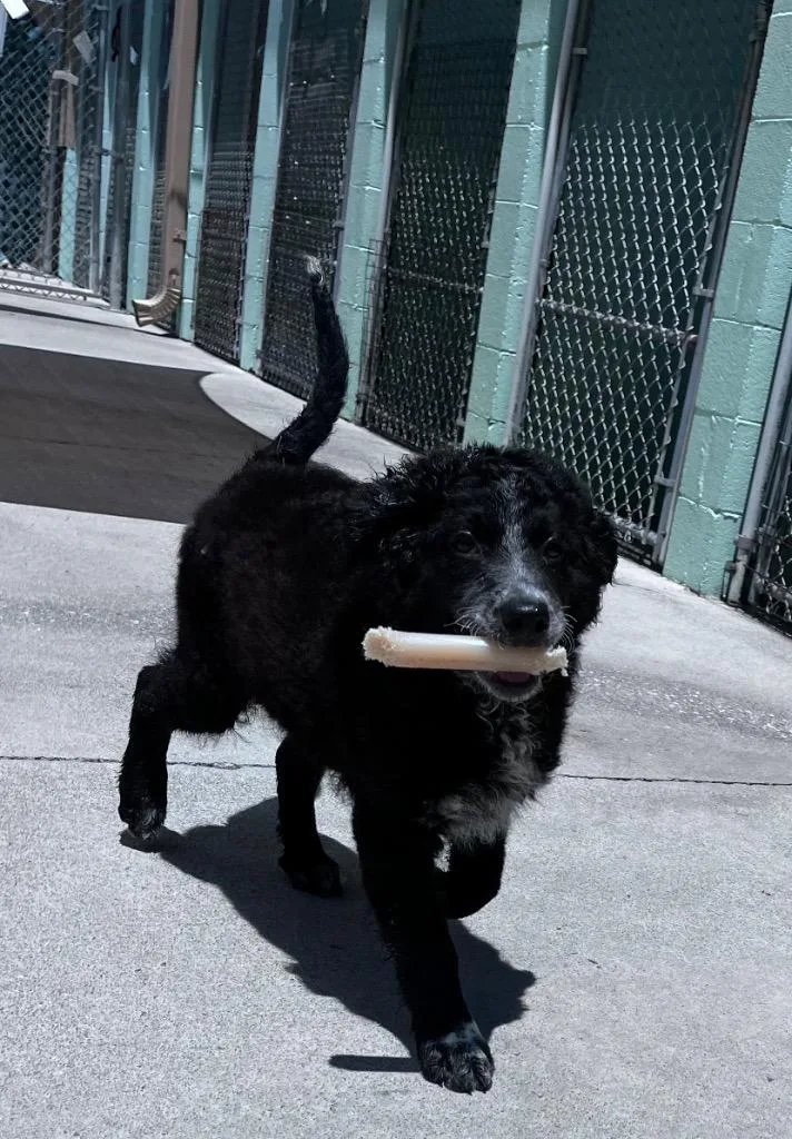 Tucker thumbnail 2