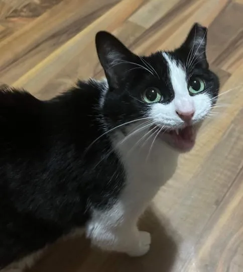 Skittles thumbnail 2