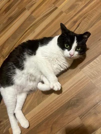 Skittles thumbnail 3