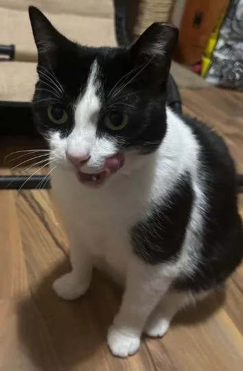 Skittles thumbnail 4