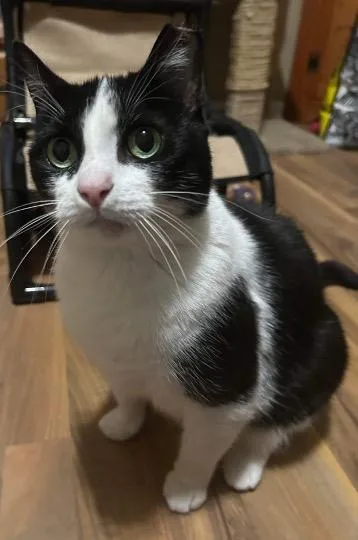 Skittles thumbnail 5