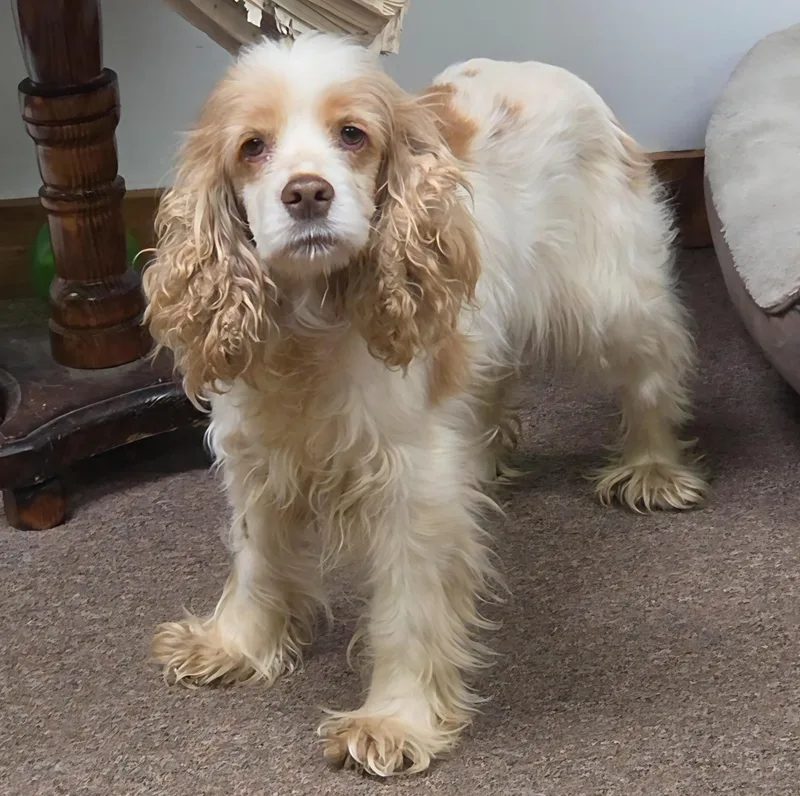 Taffy Kiskis thumbnail 2