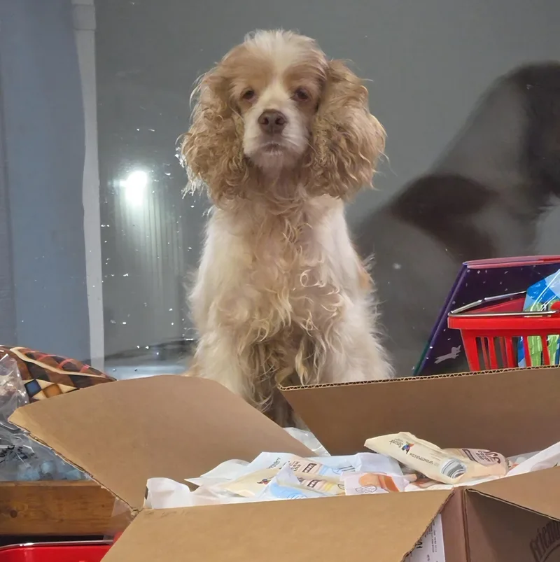 Taffy Kiskis thumbnail 3