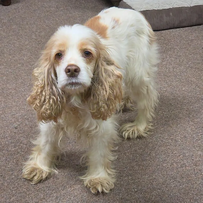 Taffy Kiskis thumbnail 5