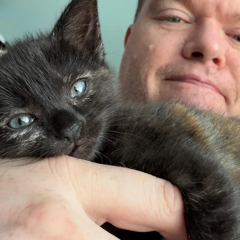 Hershey thumbnail 3