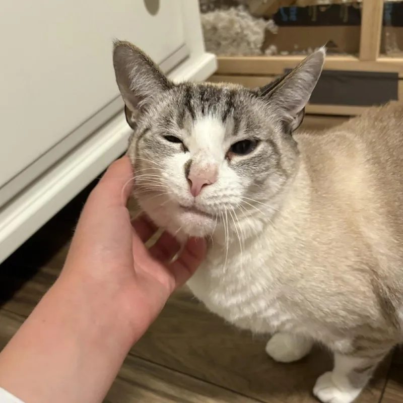 Pixel thumbnail 3