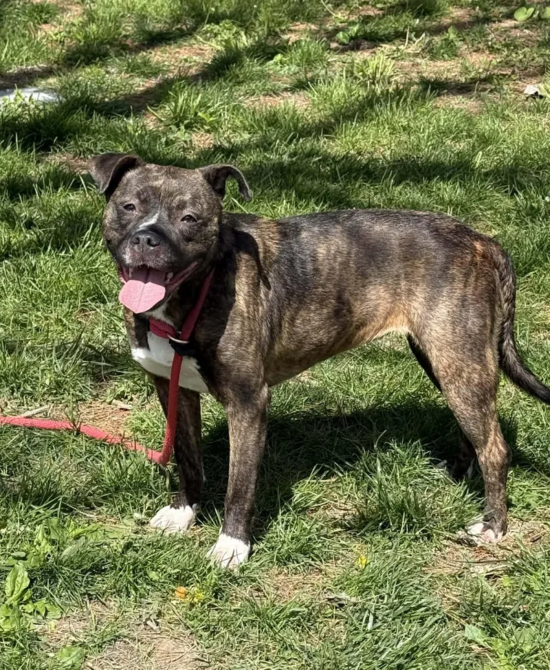 Gretchen thumbnail 2