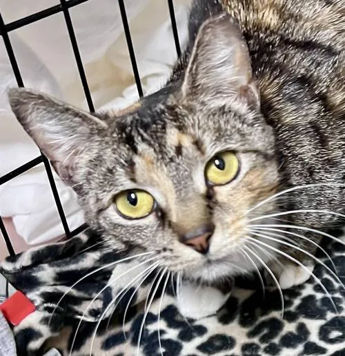 Elainewillow Grove thumbnail 3