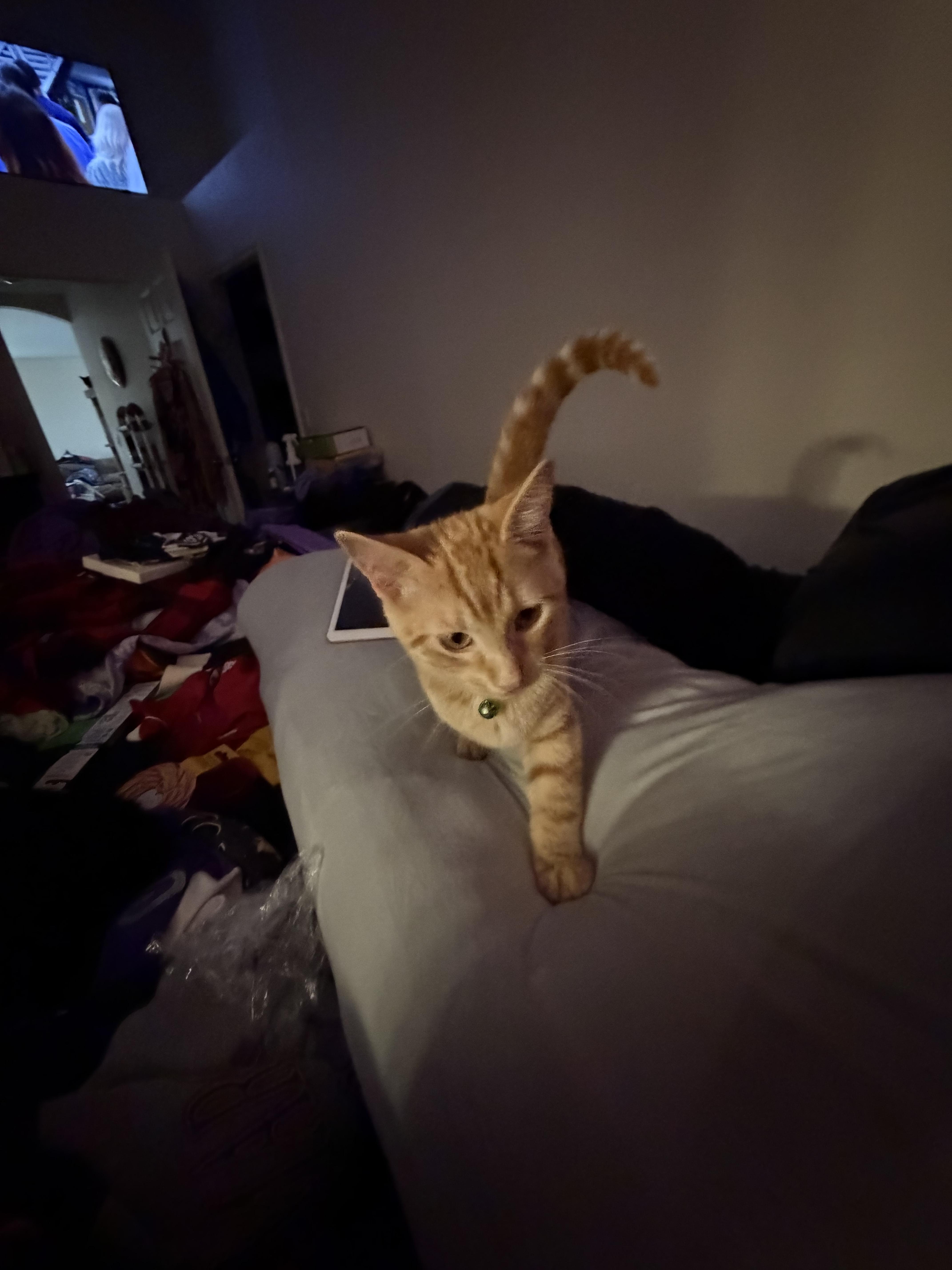 George thumbnail 2