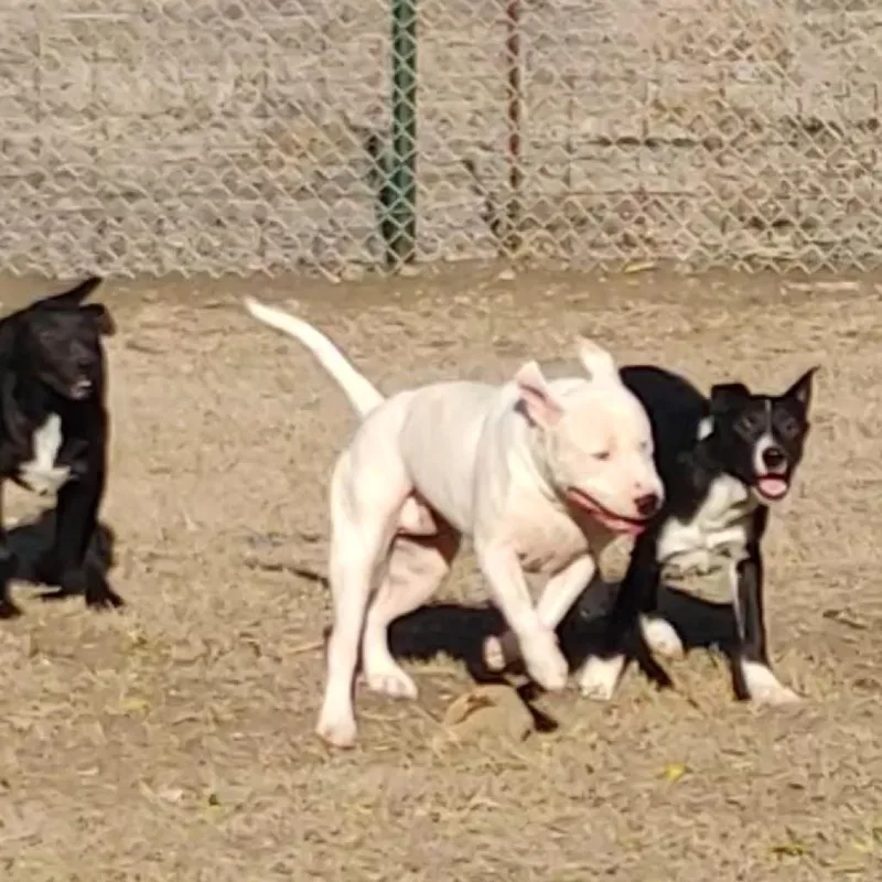 Max Cooper thumbnail 5