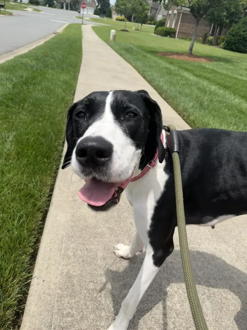 Fiona