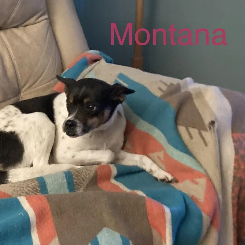 Montana thumbnail 2