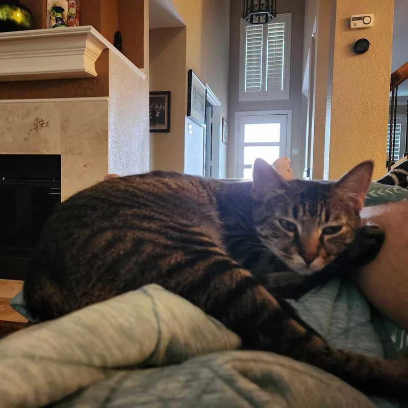 Jalapeno thumbnail 2