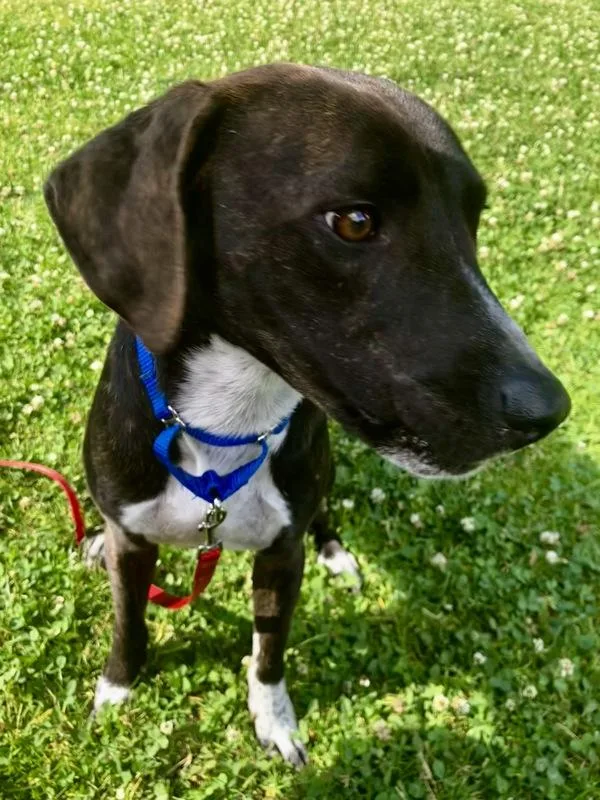 Ernie