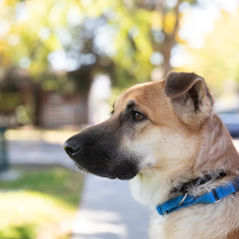 Wednesday thumbnail 3