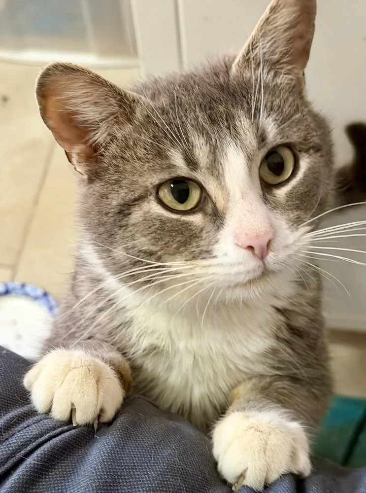 Fernando thumbnail 2